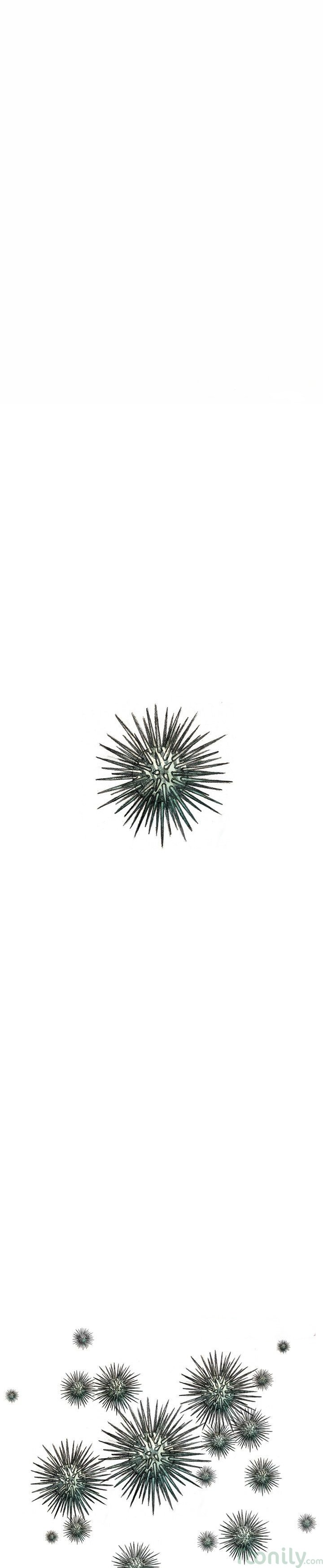 Monster Child Manhwa - Chapter 61 Page 42