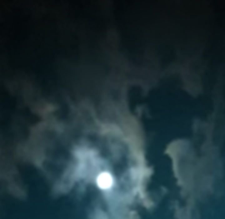 DIE, DAI Manhwa - Chapter 33 Page 156