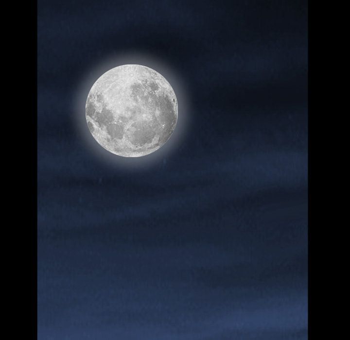 Barefoot  The Leash Season 2 Manhwa - Chapter 4 Page 153