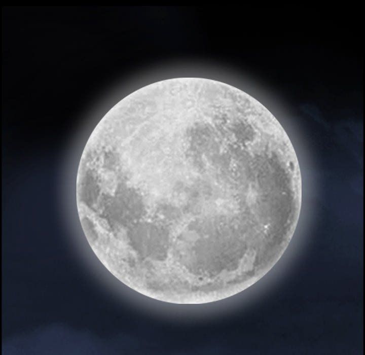 Barefoot  The Leash Season 2 Manhwa - Chapter 56 Page 51