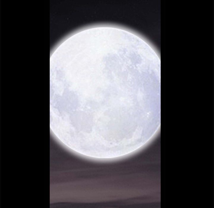 Barefoot  The Leash Season 2 Manhwa - Chapter 50 Page 77