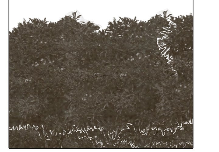 High School Devil Manhwa - Chapter 214 Page 3