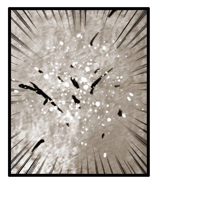 The Bully Hunter Manhwa - Chapter 40 Page 56