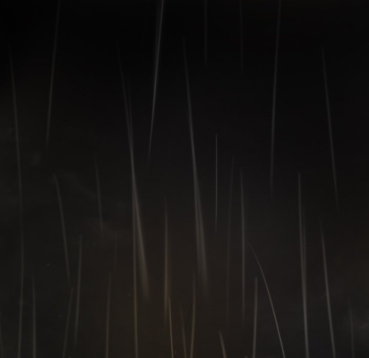 The Two Newcomers Manhwa - Chapter 10 Page 76