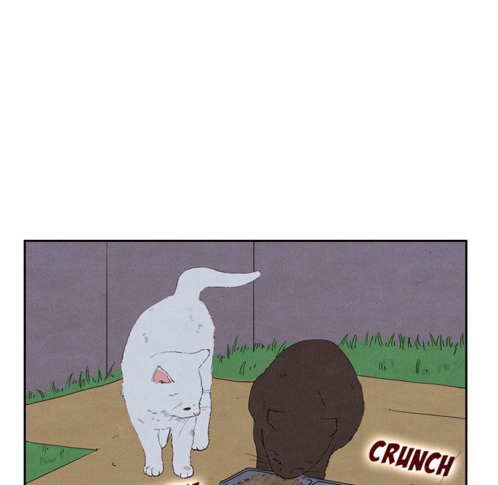 Tracy's Perfect Married Life Manhwa - Chapter 43 Page 96