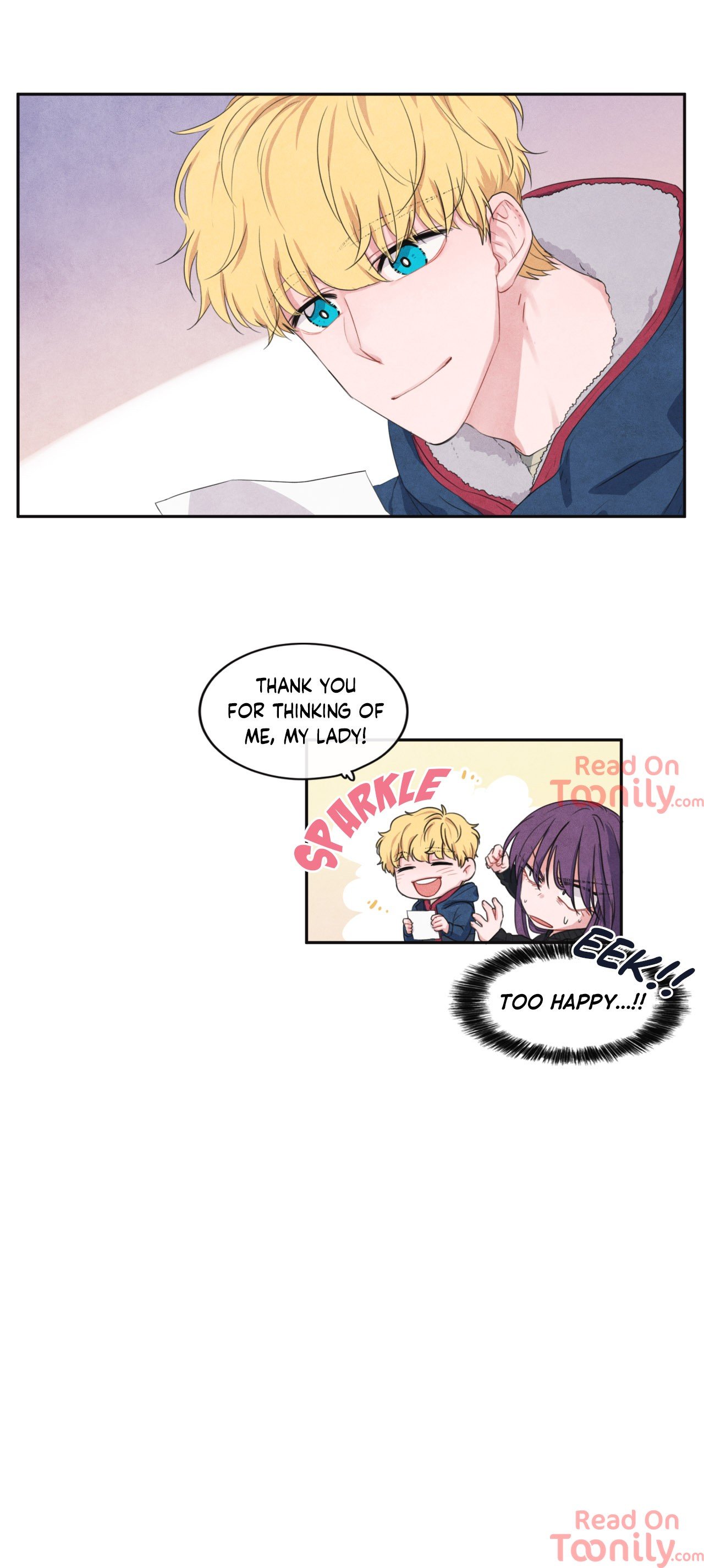 The Knight of the Falling Star Manhwa - Chapter 17 Page 11