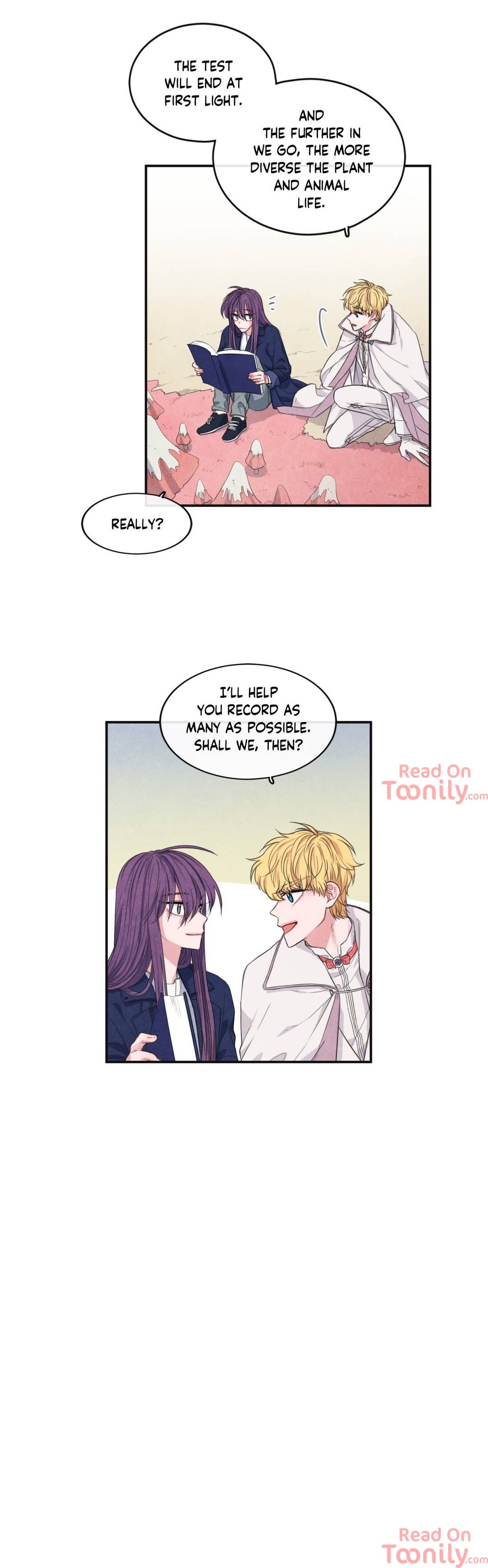 The Knight of the Falling Star Manhwa - Chapter 32 Page 7