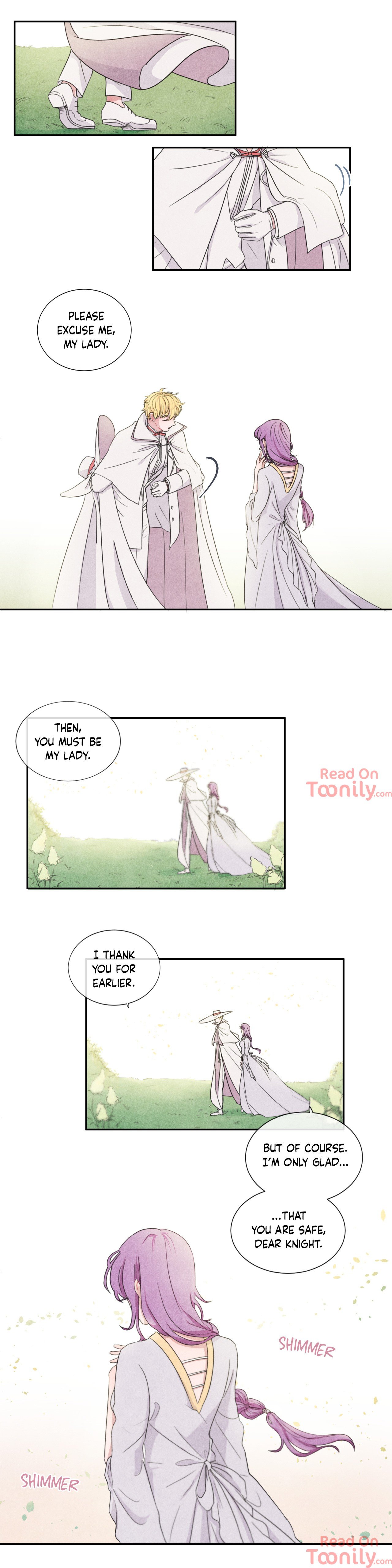 The Knight of the Falling Star Manhwa - Chapter 2 Page 2
