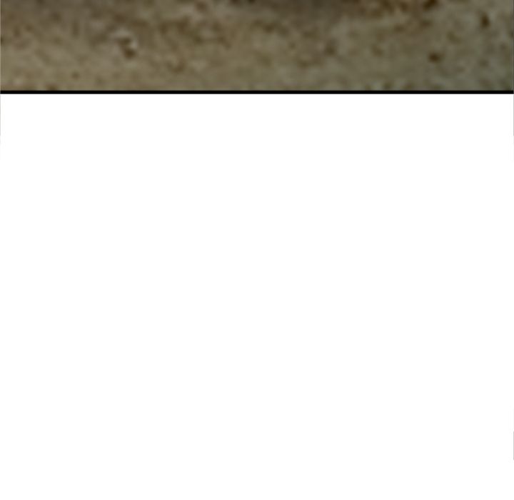 The Family Tree Manhwa - Chapter 2 Page 18