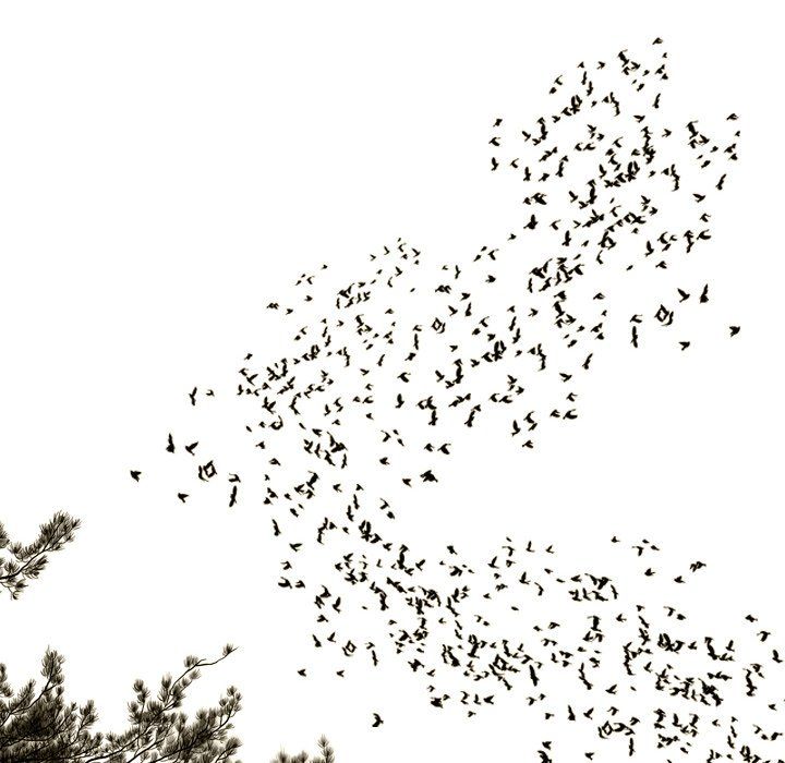 Only You Manhwa - Chapter 40 Page 155