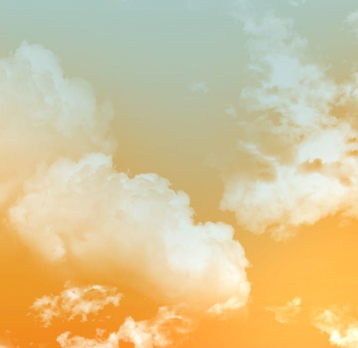 Exclusive Contract Manhwa - Chapter 20 Page 84