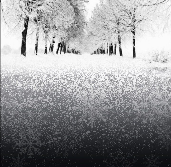 Silhouette Manhwa - Chapter 48 Page 30