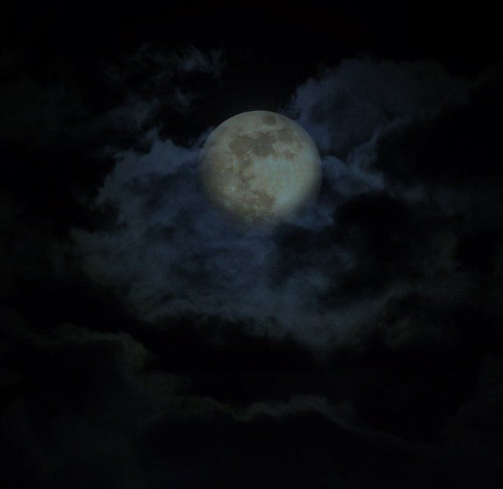 Silhouette Manhwa - Chapter 58 Page 18