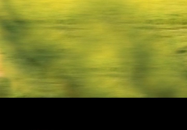 Silhouette Manhwa - Chapter 49 Page 3