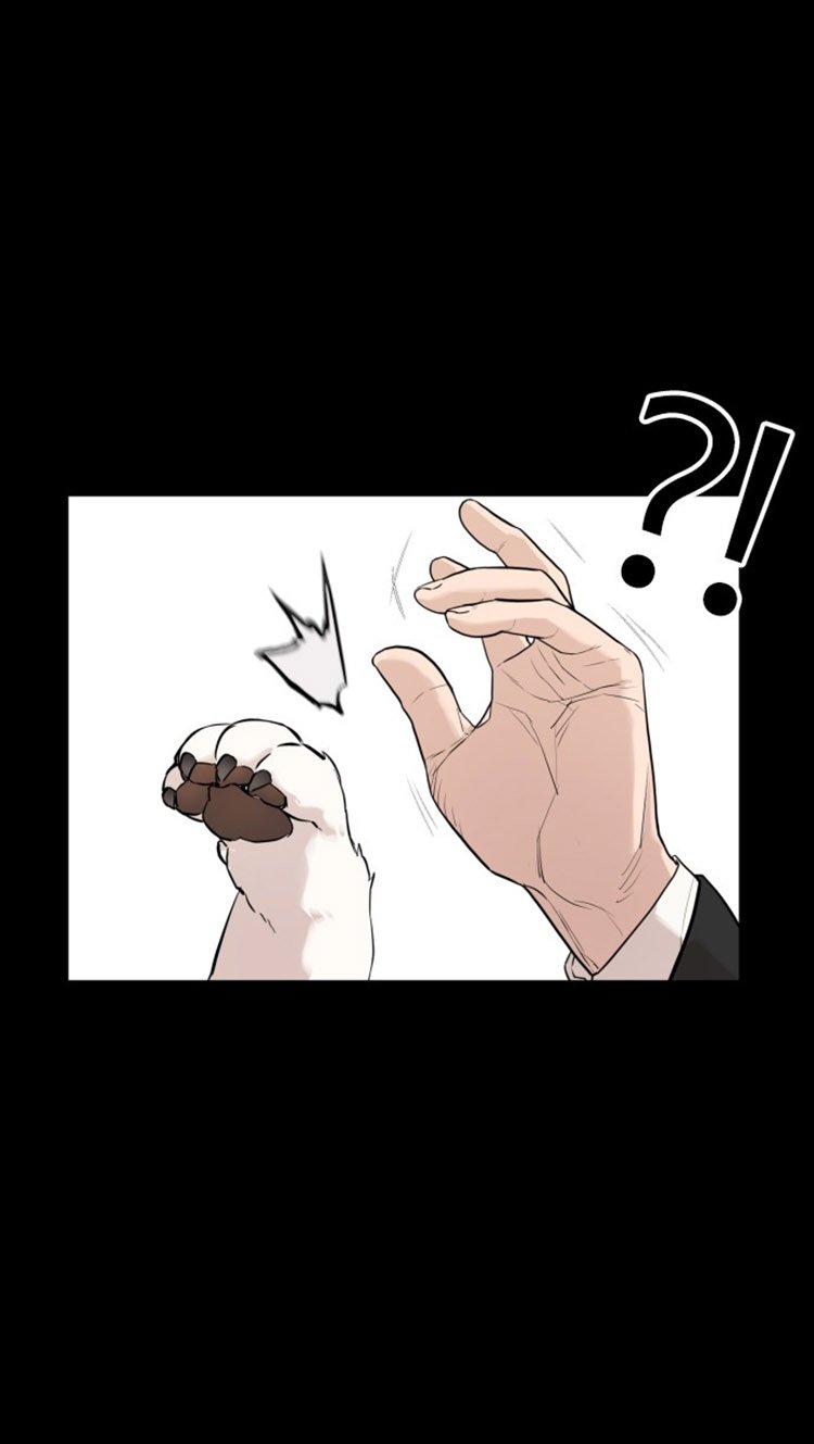 How to Fight Manhwa - Chapter 13 Page 17