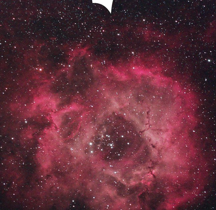 Bad Blood Manhwa - Chapter 25 Page 125