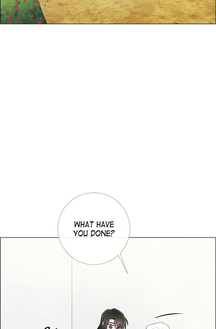 The Maid and the Vampire Manhwa - Chapter 11 Page 25