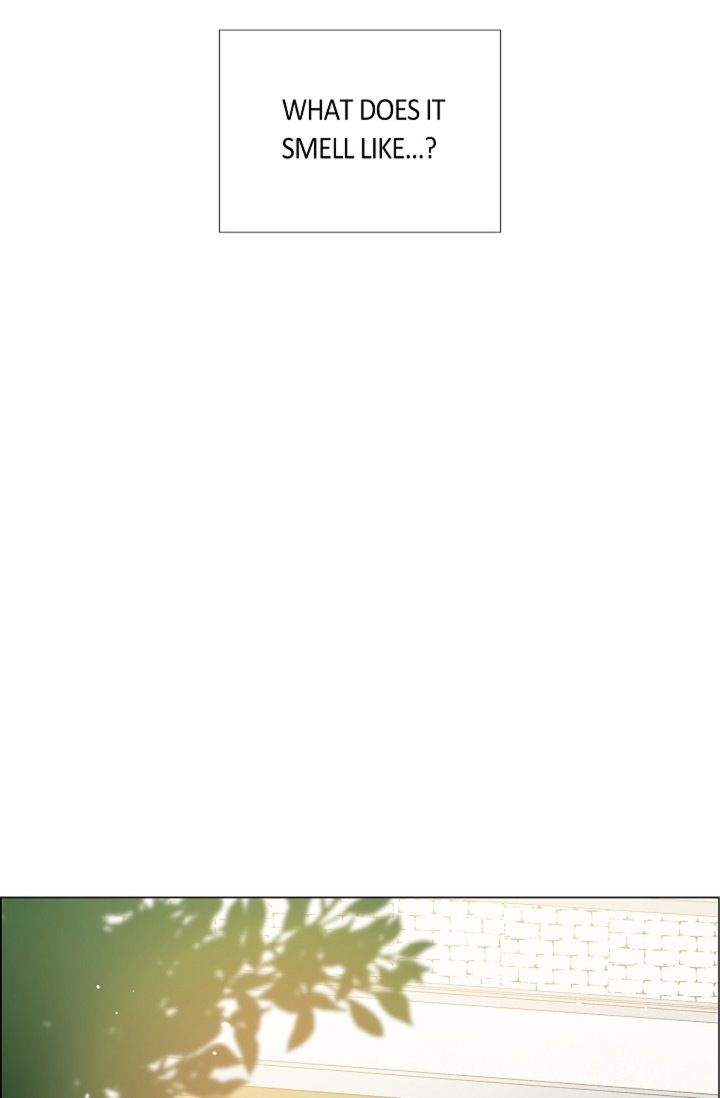 The Maid and the Vampire Manhwa - Chapter 11 Page 47