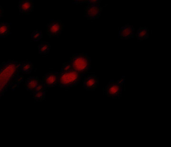 The Voice of God Manhwa - Chapter 32 Page 118