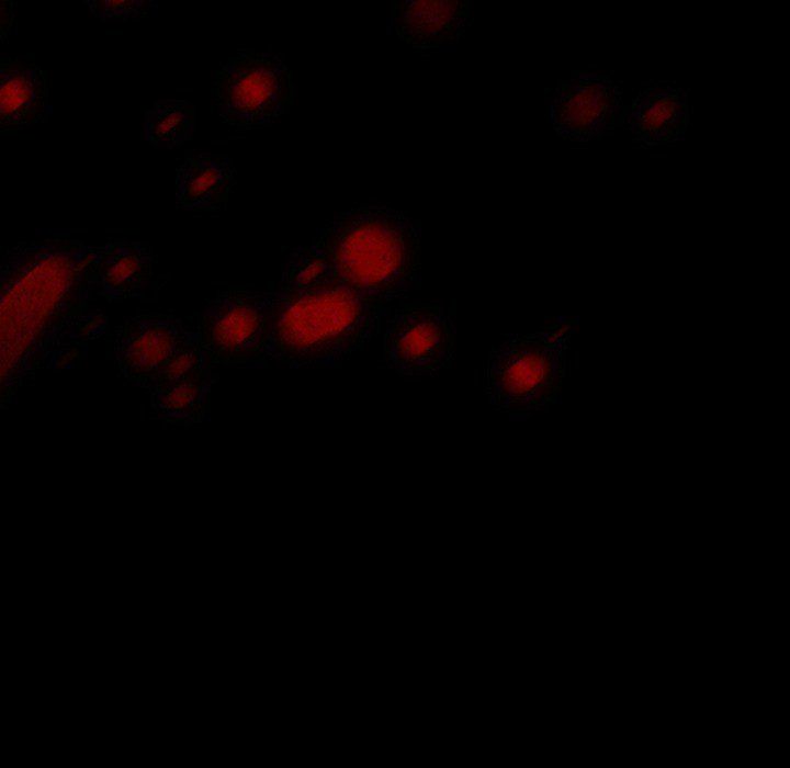 The Voice of God Manhwa - Chapter 33 Page 10