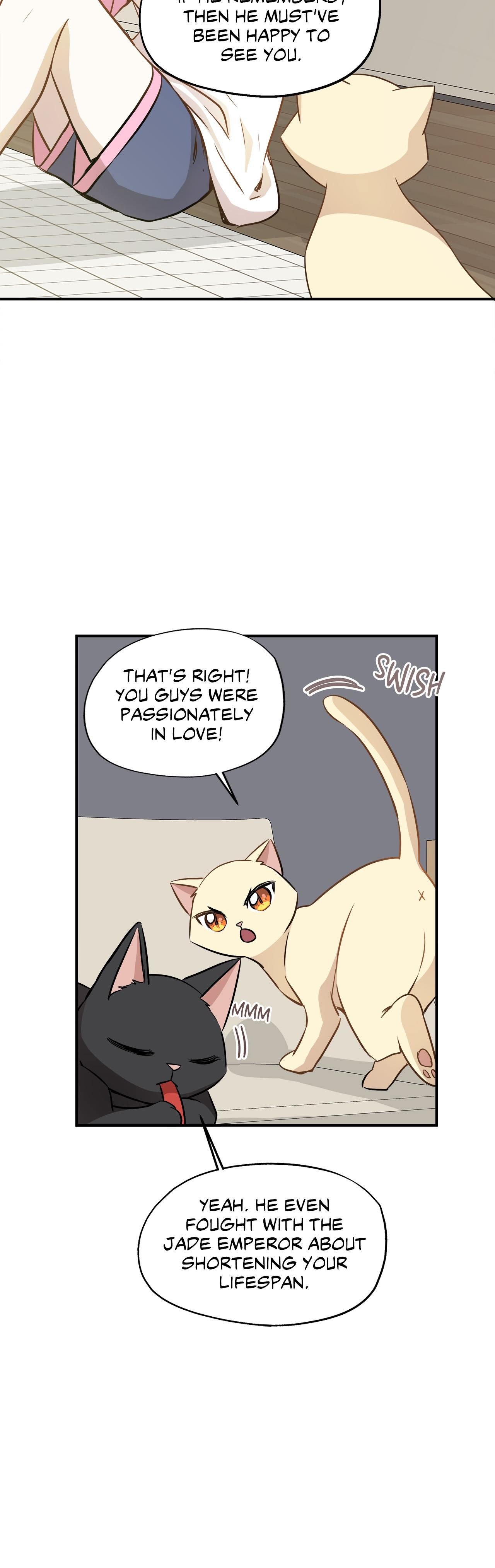 Just for a Meowment Manhwa - Chapter 58 Page 12
