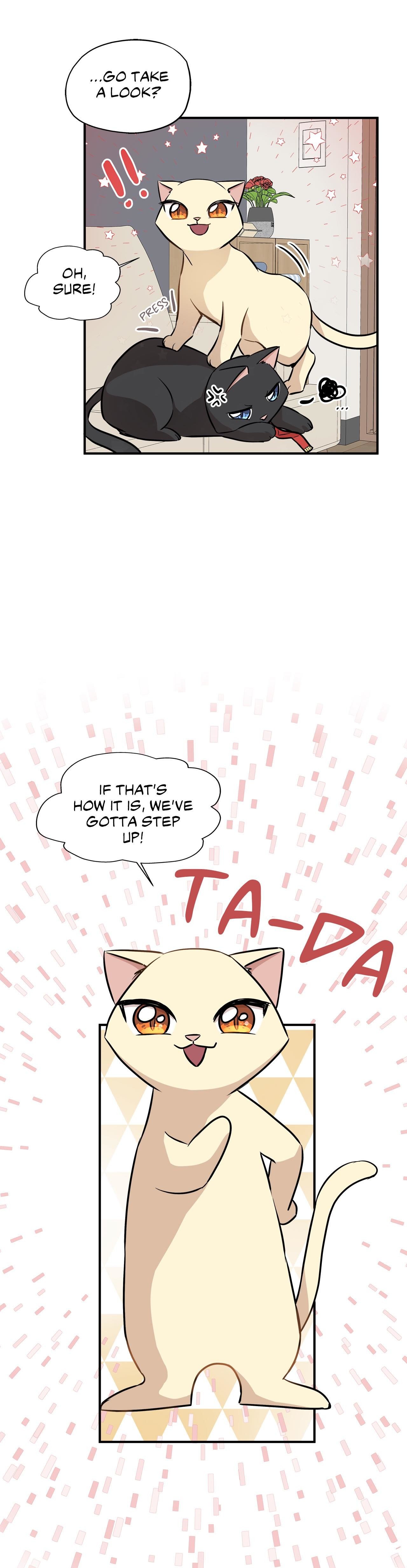Just for a Meowment Manhwa - Chapter 58 Page 19