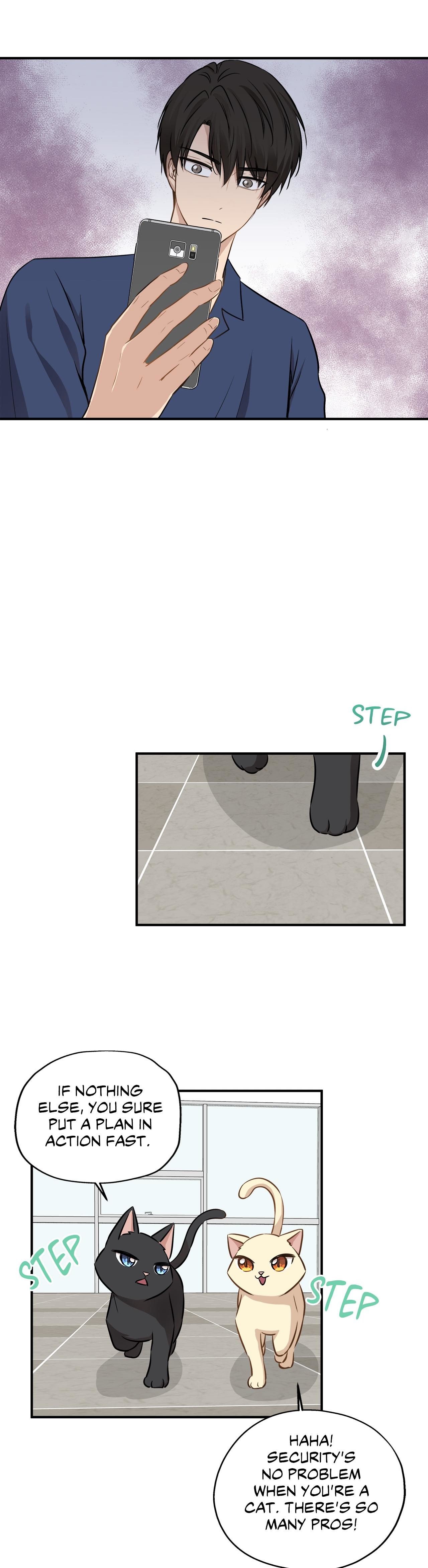 Just for a Meowment Manhwa - Chapter 58 Page 31