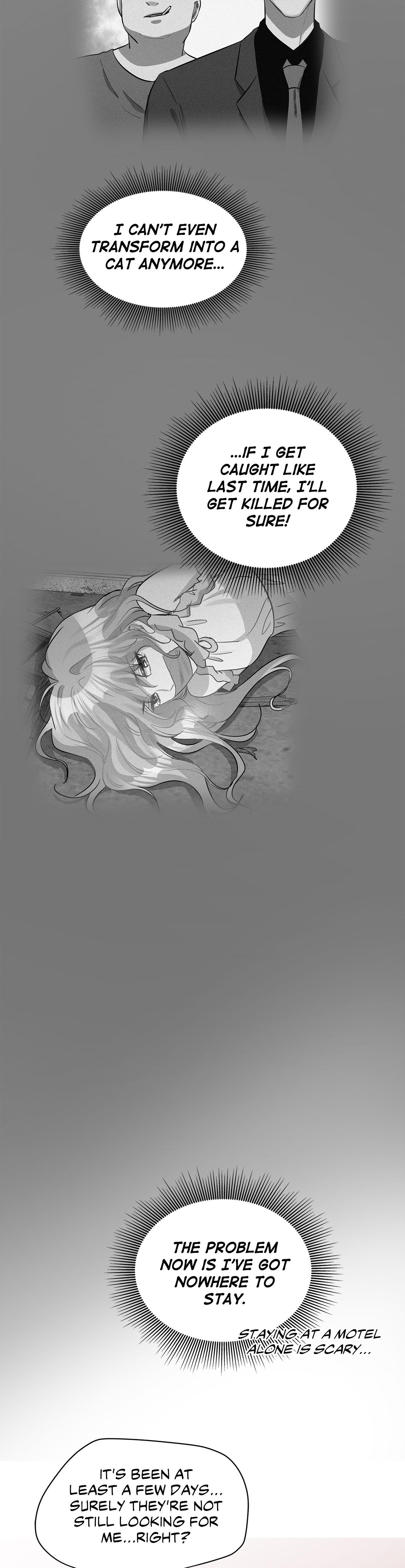 Just for a Meowment Manhwa - Chapter 51 Page 2