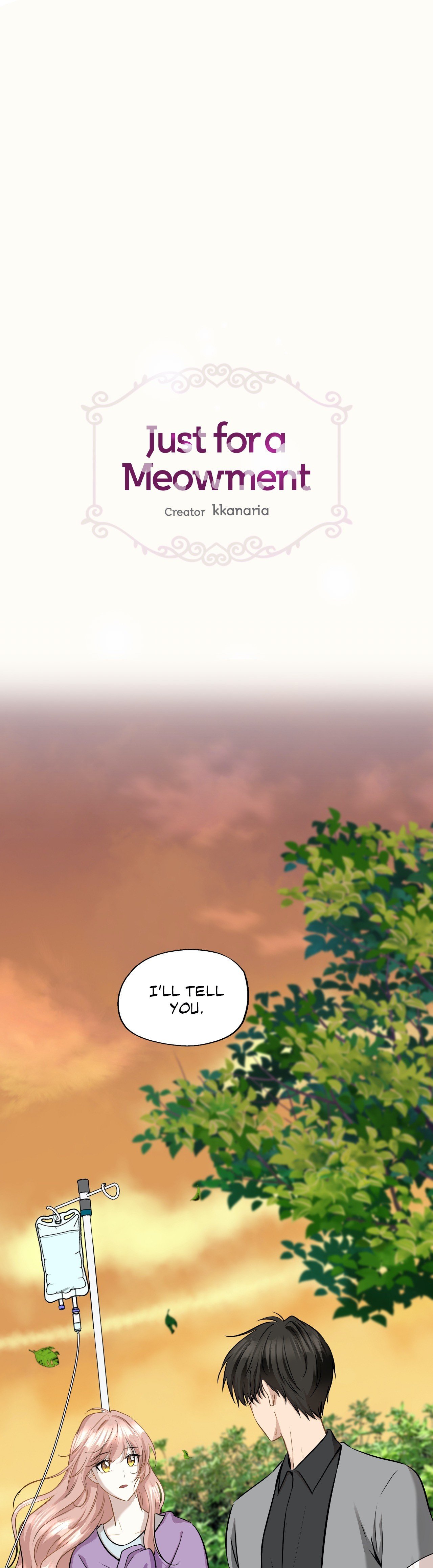 Just for a Meowment Manhwa - Chapter 88 Page 0