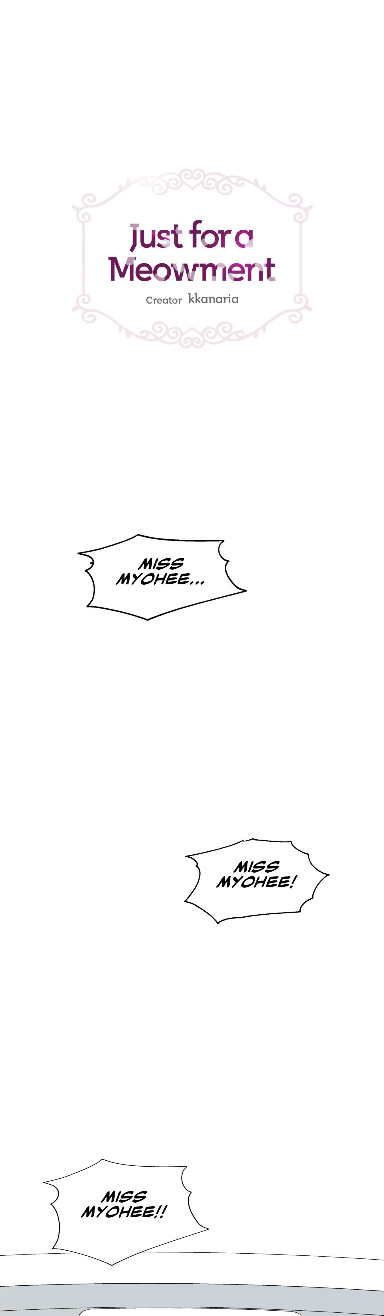 Just for a Meowment Manhwa - Chapter 47 Page 0
