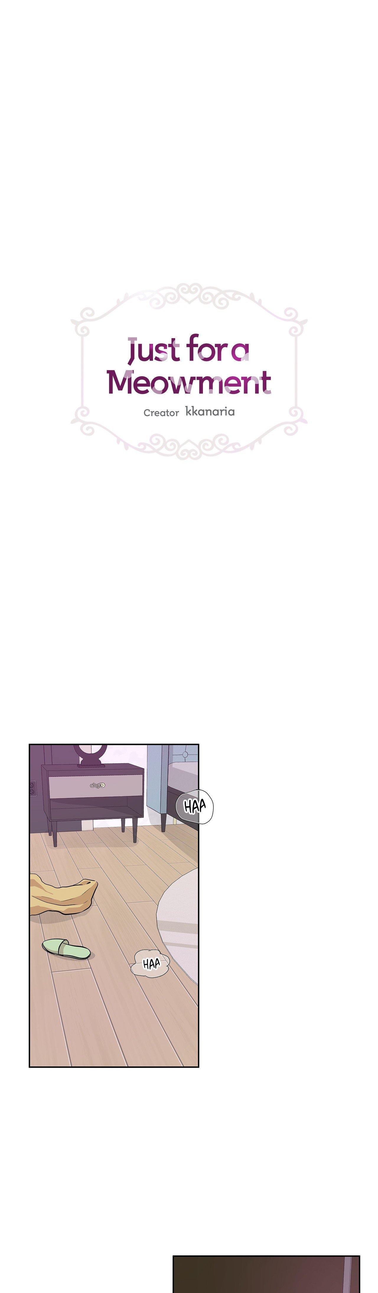 Just for a Meowment Manhwa - Chapter 68 Page 0