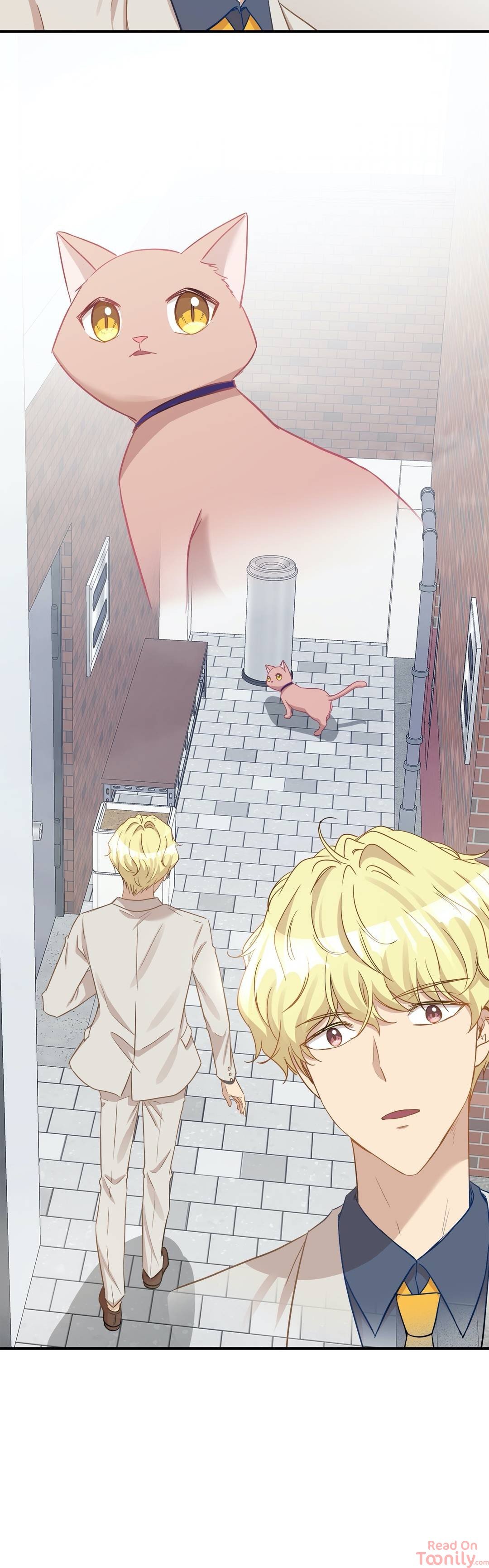 Just for a Meowment Manhwa - Chapter 20 Page 23