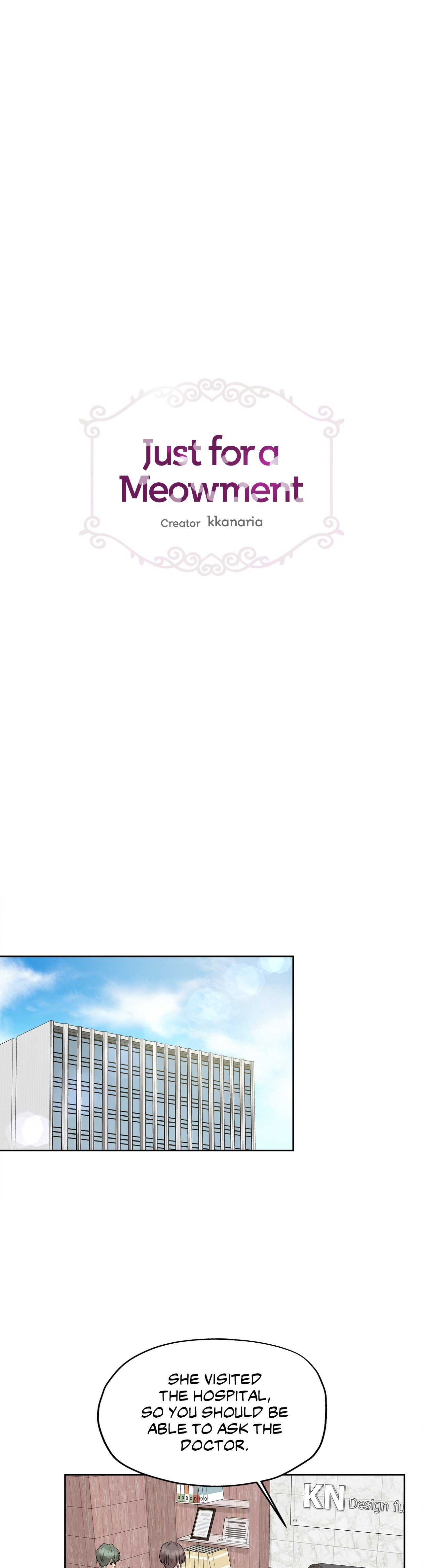 Just for a Meowment Manhwa - Chapter 81 Page 0