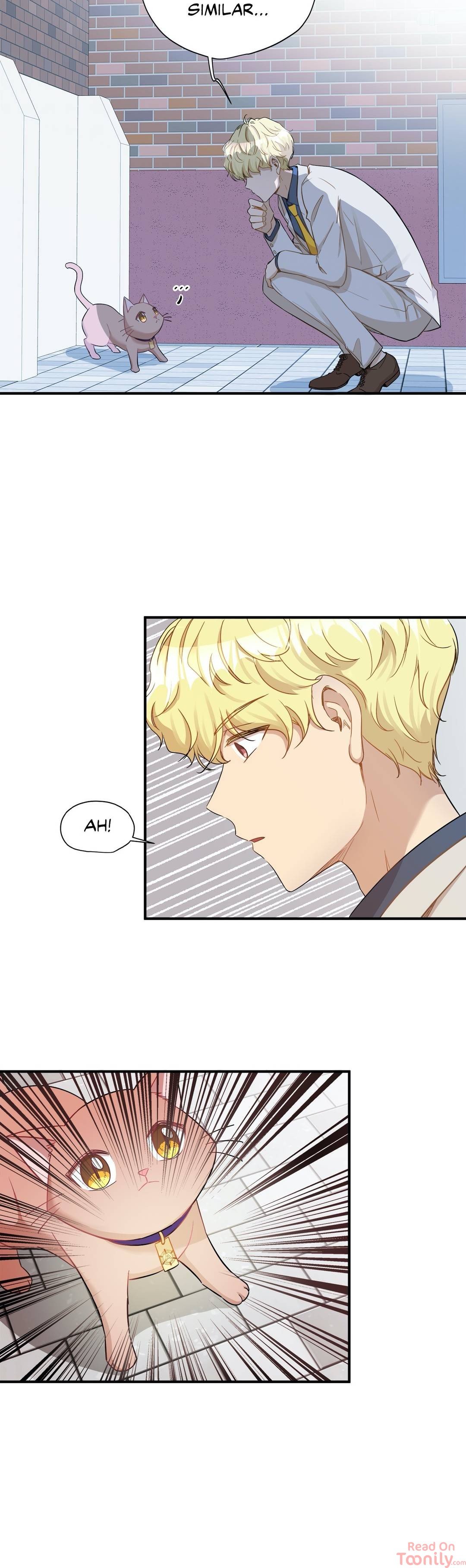 Just for a Meowment Manhwa - Chapter 21 Page 2