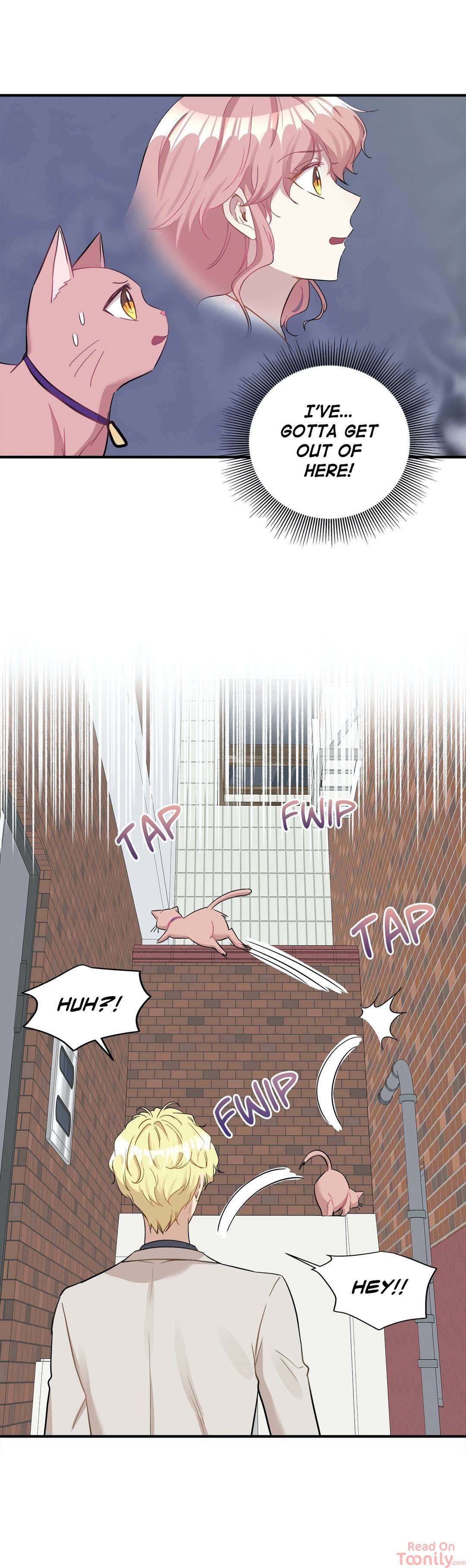 Just for a Meowment Manhwa - Chapter 21 Page 3