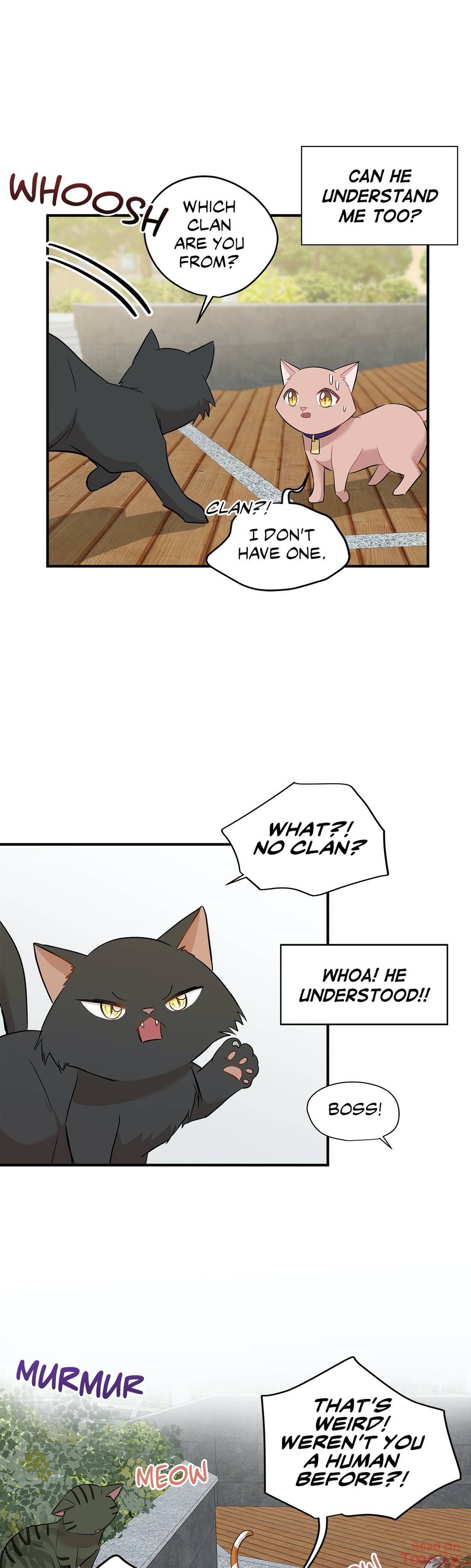 Just for a Meowment Manhwa - Chapter 21 Page 8