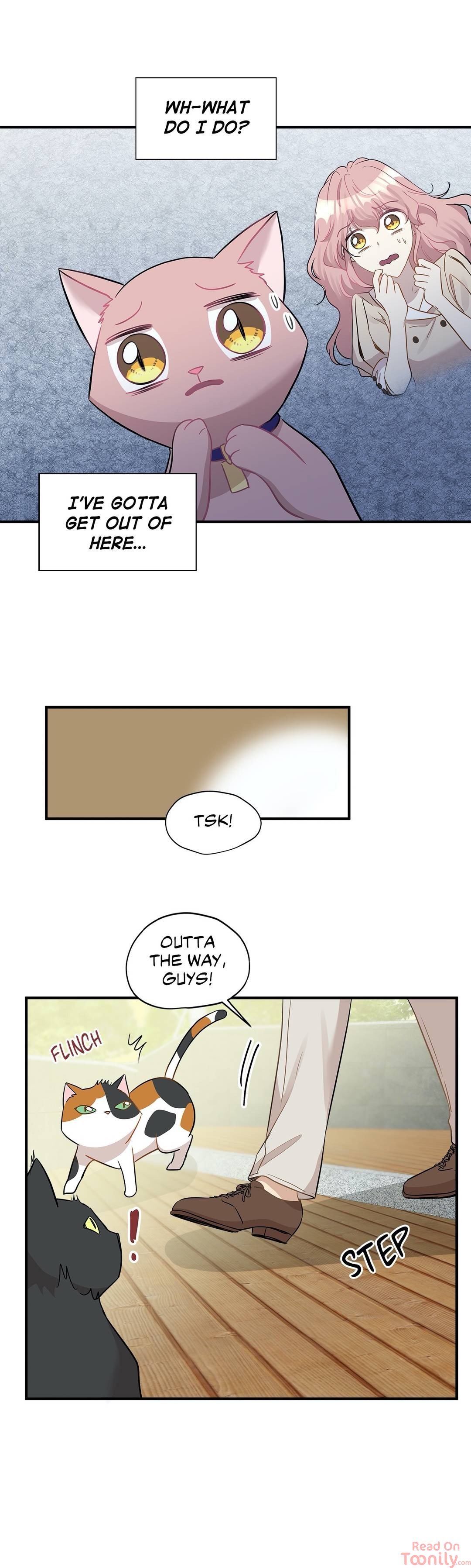 Just for a Meowment Manhwa - Chapter 21 Page 11