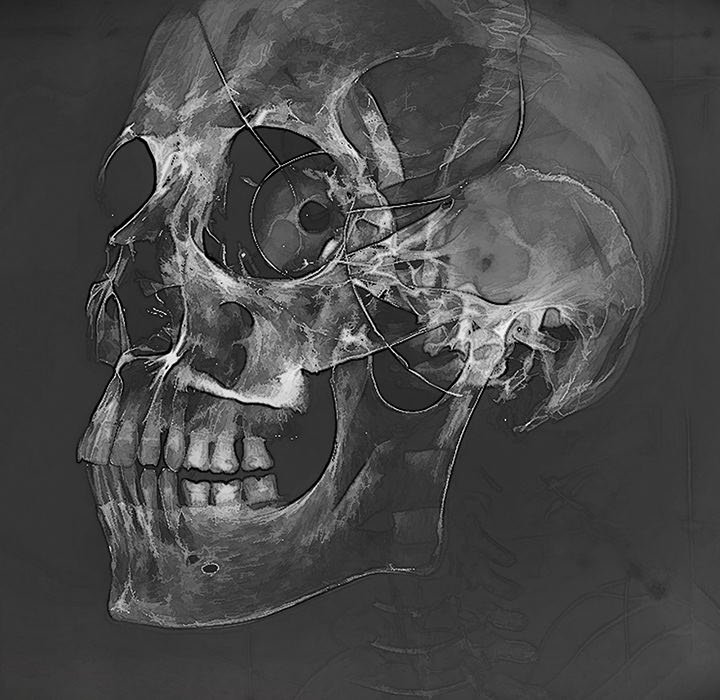 My High School Bully Manhwa - Chapter 209 Page 188