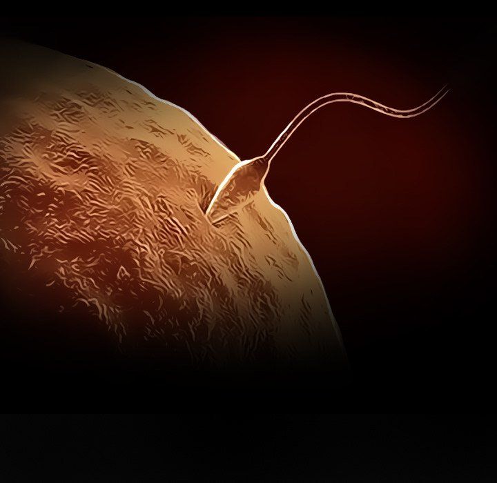 Unfaithful Manhwa - Chapter 23 Page 6