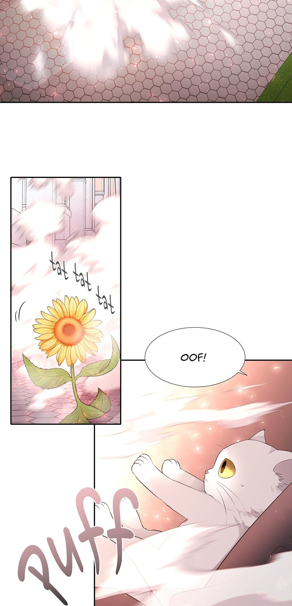 Charlotte and Her 5 Disciples Manhwa - Chapter 62 Page 13