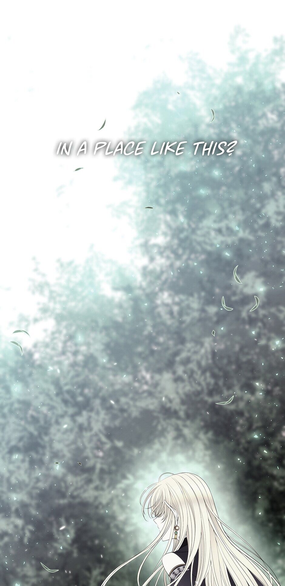 Charlotte and Her 5 Disciples Manhwa - Chapter 44 Page 3