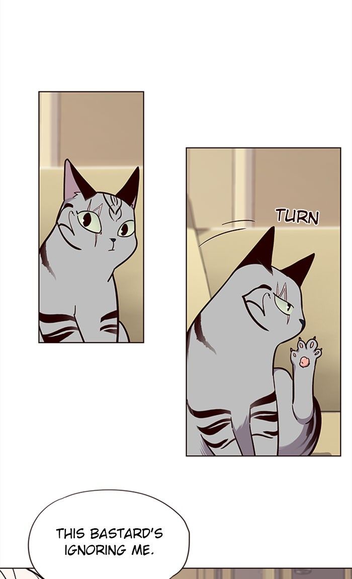 Eleceed Manhwa - Chapter 38 Page 51