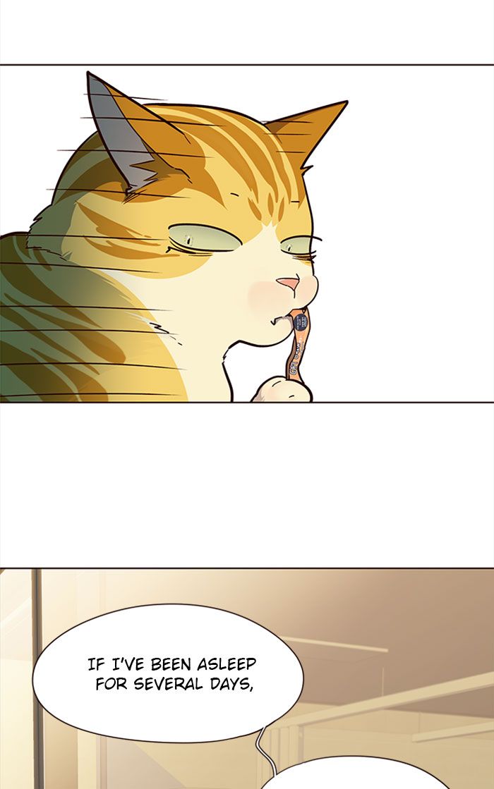 Eleceed Manhwa - Chapter 30 Page 5