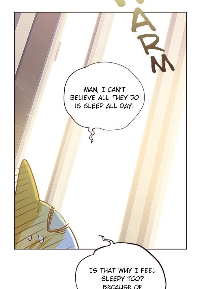 Eleceed Manhwa - Chapter 11 Page 36