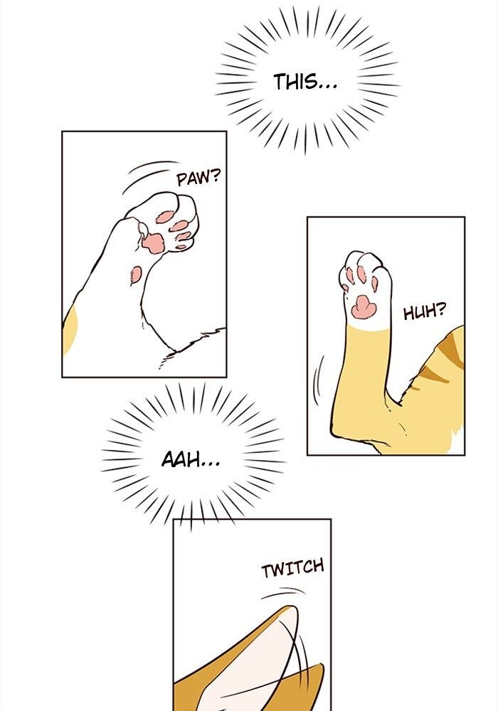 Eleceed Manhwa - Chapter 1 Page 56