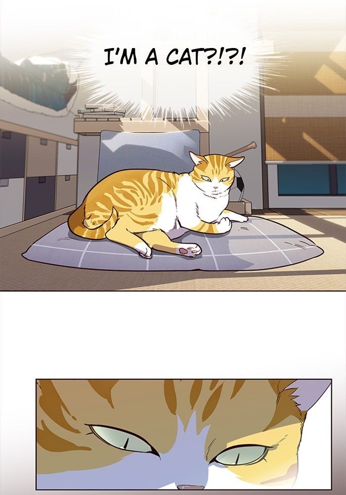 Eleceed Manhwa - Chapter 1 Page 58