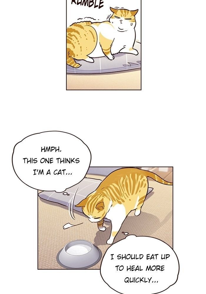 Eleceed Manhwa - Chapter 1 Page 78