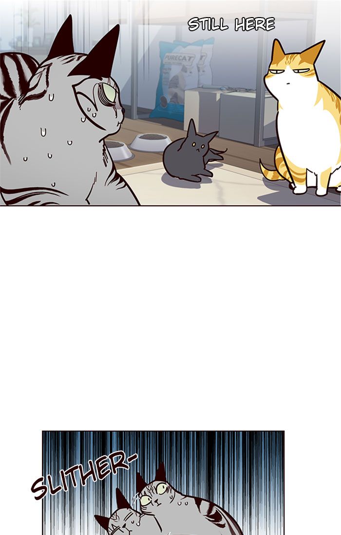 Eleceed Manhwa - Chapter 37 Page 39