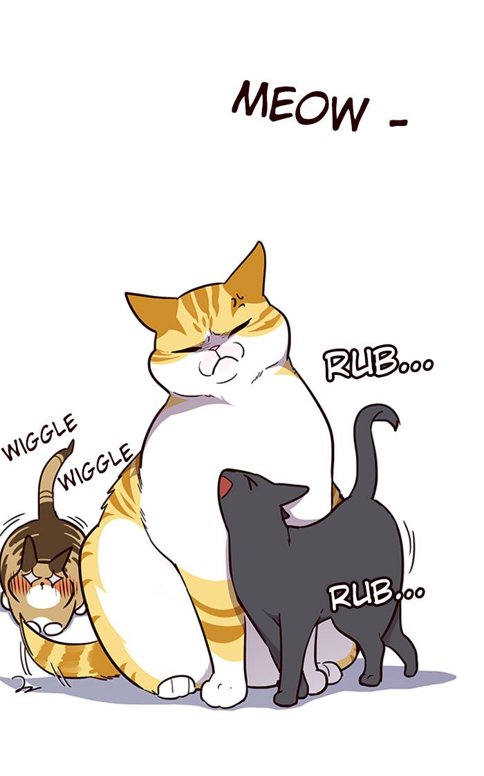 Eleceed Manhwa - Chapter 37 Page 46