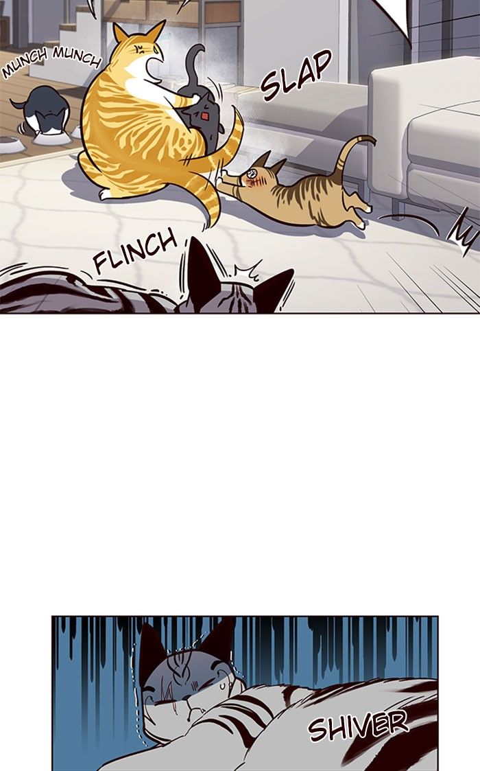 Eleceed Manhwa - Chapter 37 Page 47